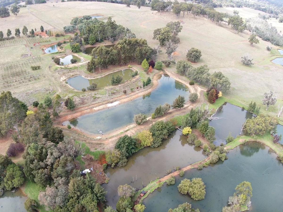 Woodlands Of Balingup Bush Cottages Buitenkant foto