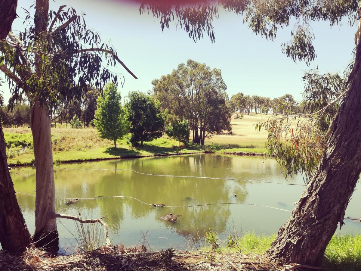 Woodlands Of Balingup Bush Cottages Buitenkant foto